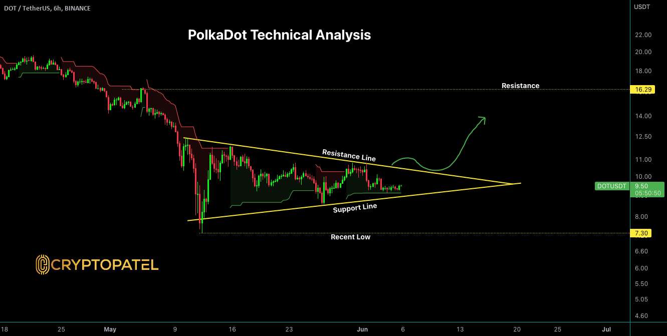 راه اندازی تجارت جدید PolkaDot