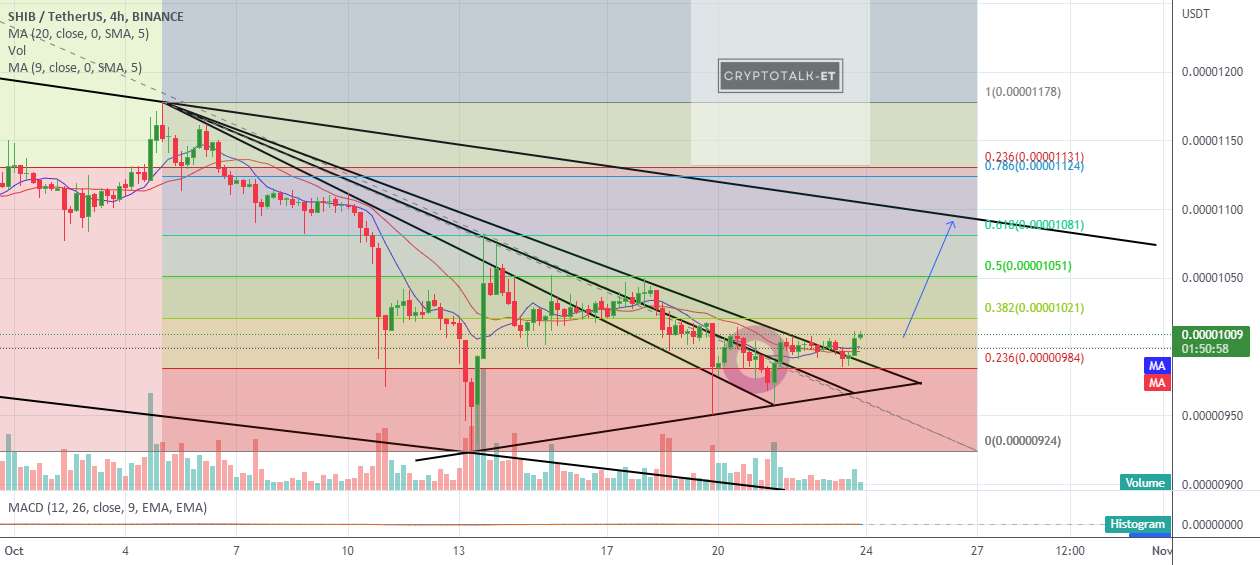 SHIB: آیا ما در یک Break OUT واقعی هستیم؟ به نظر می آید.