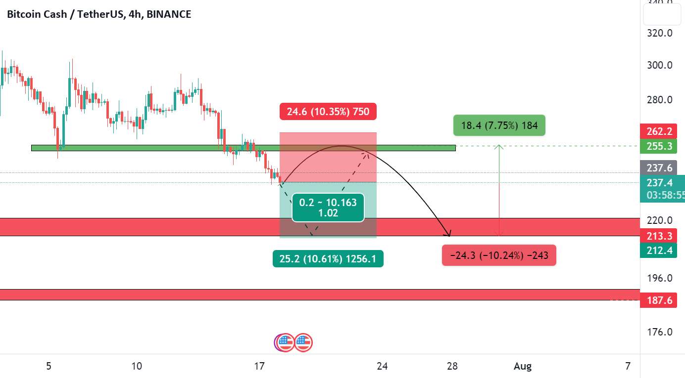 بعد از پرواز ارز BCH استراحت کنید