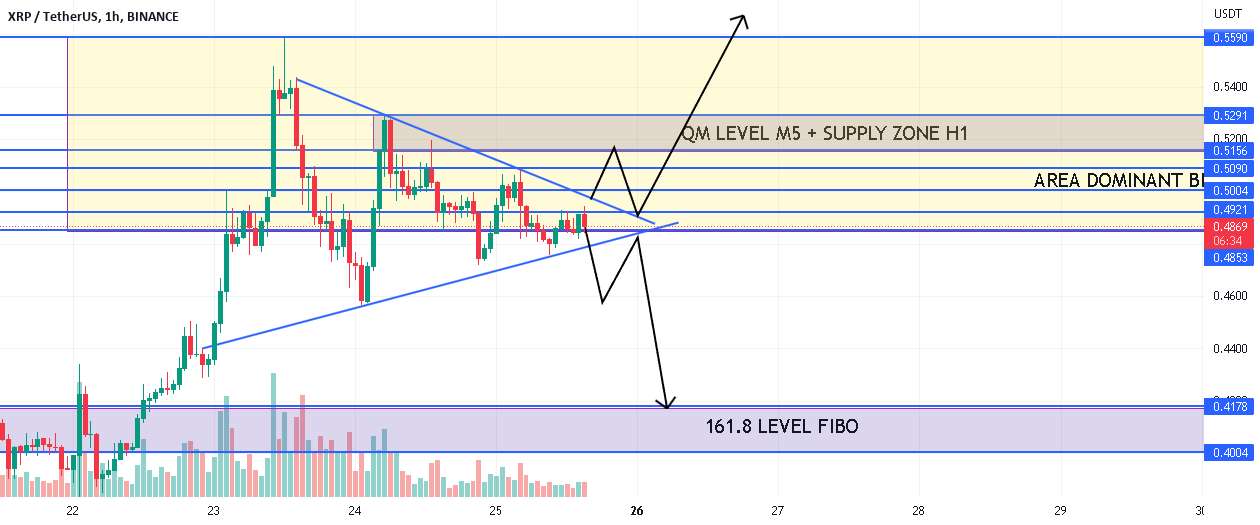 XRP پرواز می کند یا تخلیه می شود؟