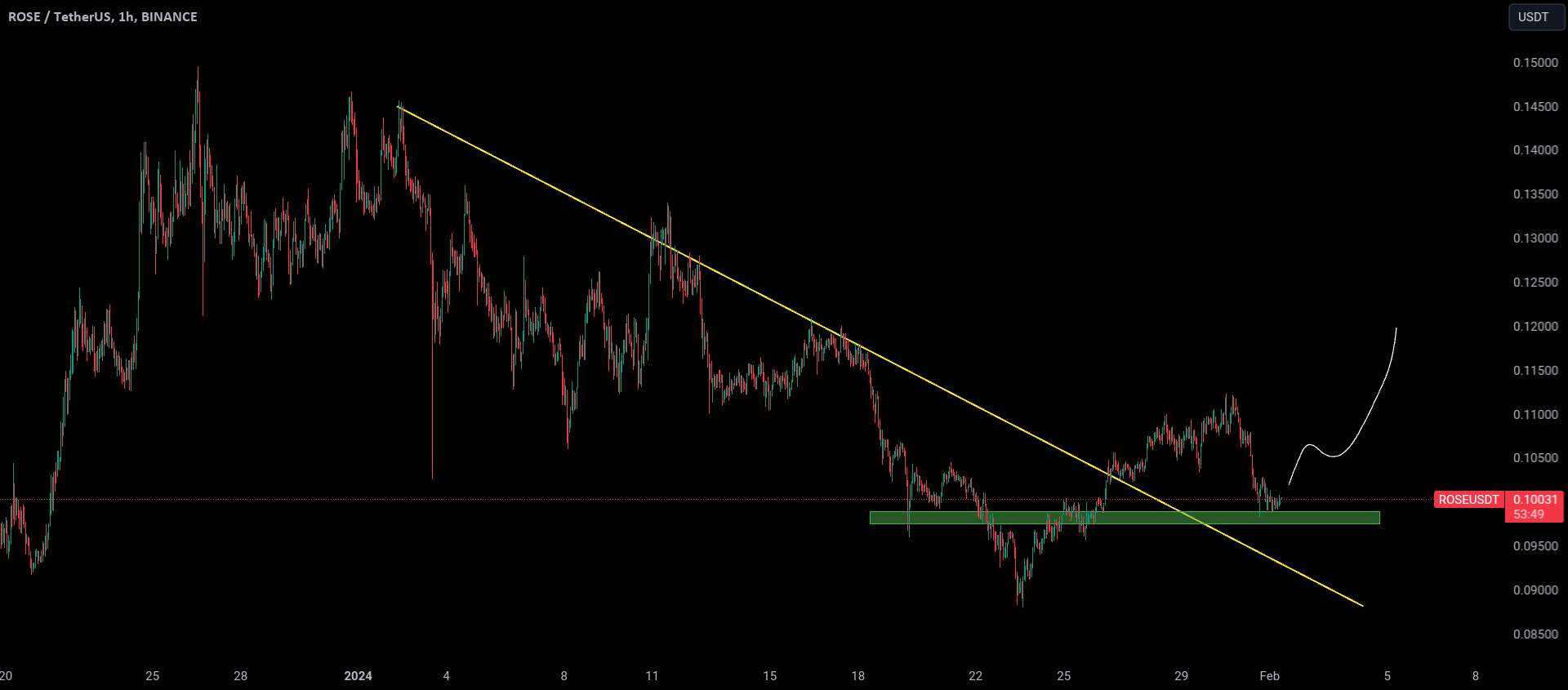 تحلیل آسیس نتورک - ROSE در باید در سطح نگه داشته شود