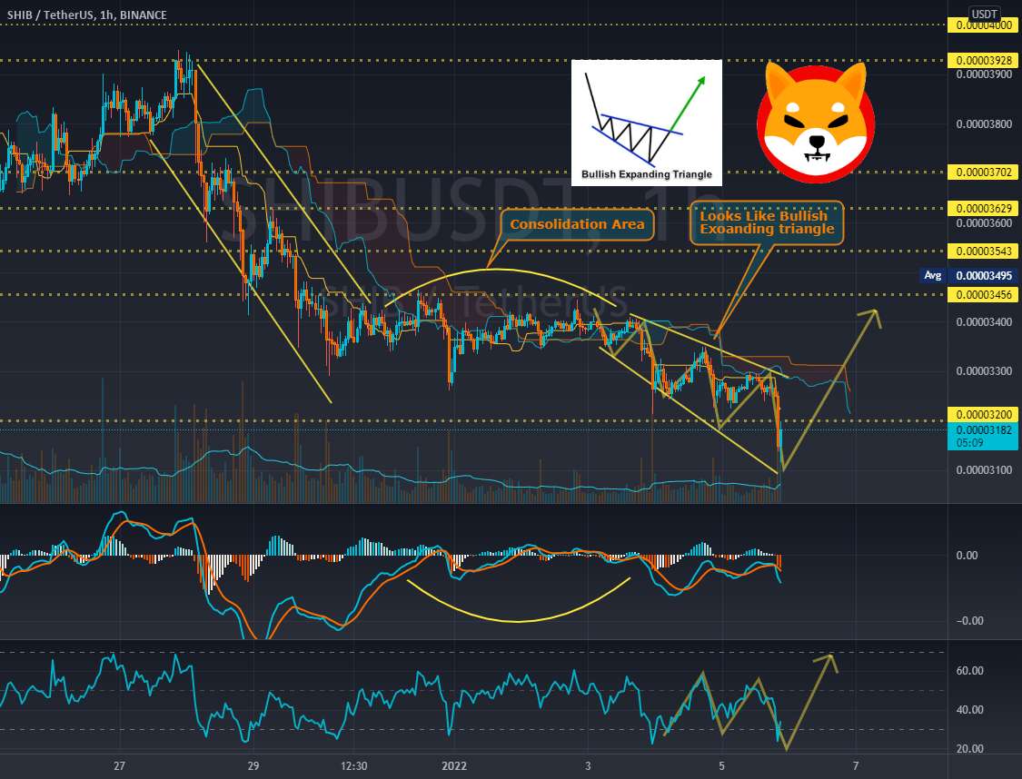  تحلیل شیبا - SHIB یک مثلث در حال گسترش صعودی ایجاد کرده است